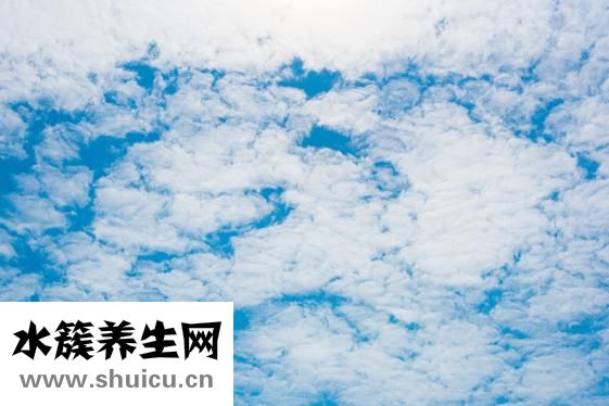 白云豆輕身丸怎么樣