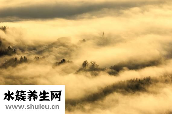 森宿襯衣怎么樣