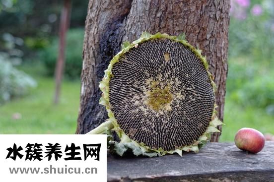 野稻人男襯衫怎么樣