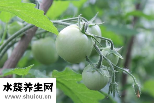 怎么樣能讓手變白