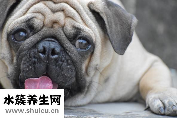 臉發(fā)熱是怎么回事