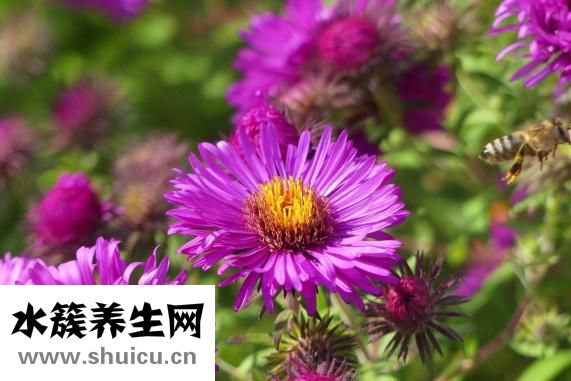 女人是怎么樣生的