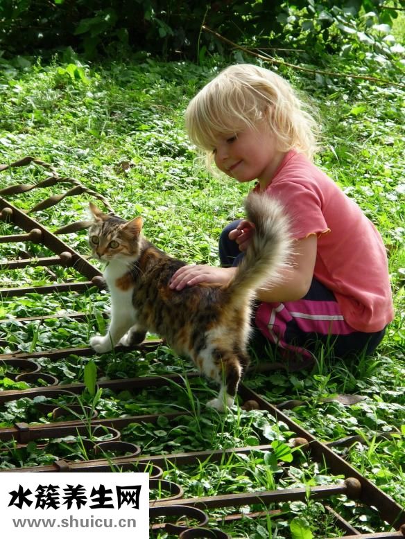 孩子成績(jī)不好怎么辦