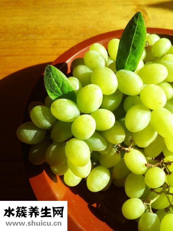 樸槿惠為什么不結(jié)婚