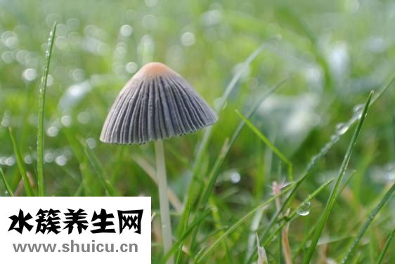 康愛多大藥房怎么樣