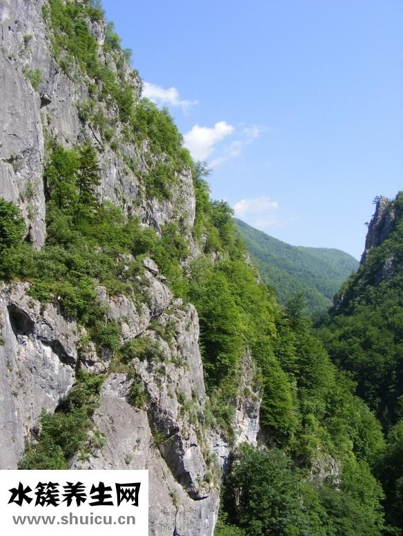 邁切爾炒鍋怎么樣