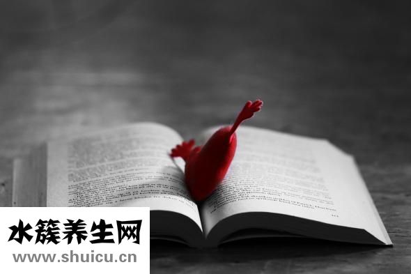 微商加粉王怎么樣