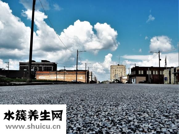 比樂天然糧怎么樣