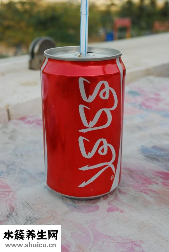 品愛加盟怎么樣