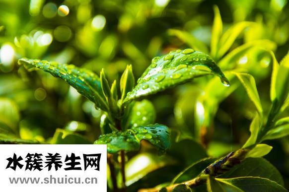 如何看陰宅風(fēng)水