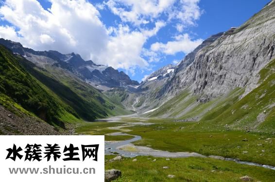 中華腦通效果怎么樣