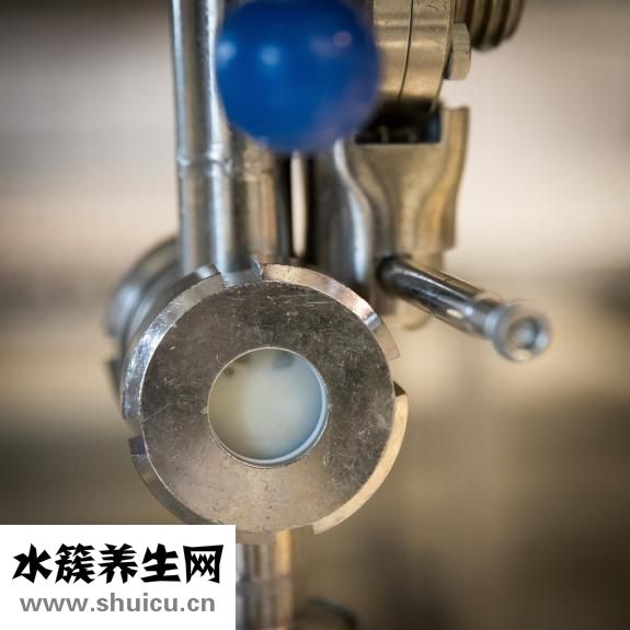 晨光牛奶品質怎么樣