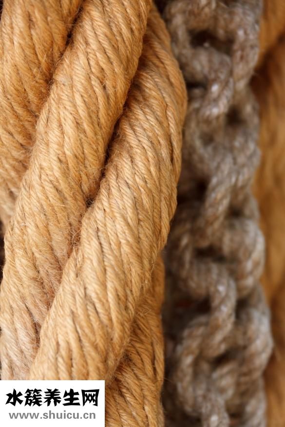 自己怎么做葡萄酒