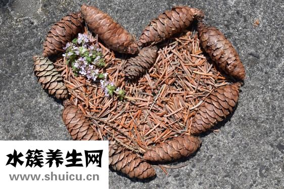 紀元養胃茶怎么樣