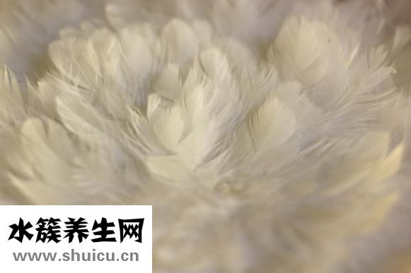 康衣兒羽絨服怎么樣