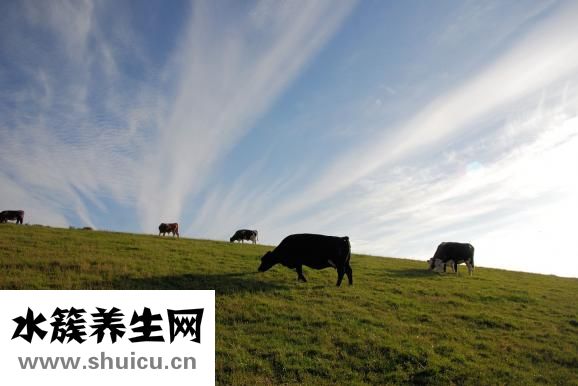 飛鶴超級飛帆怎么樣