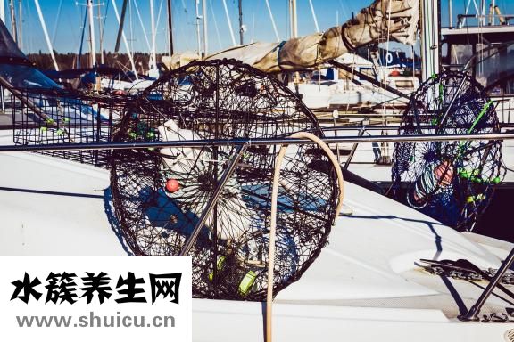 吃螃蟹過敏怎么辦