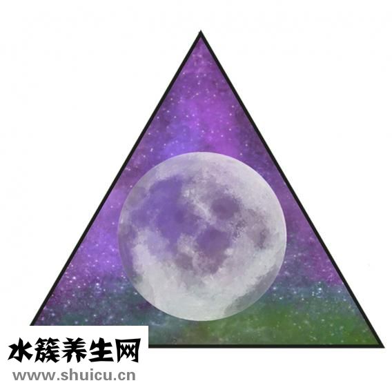 春節送禮送什么好