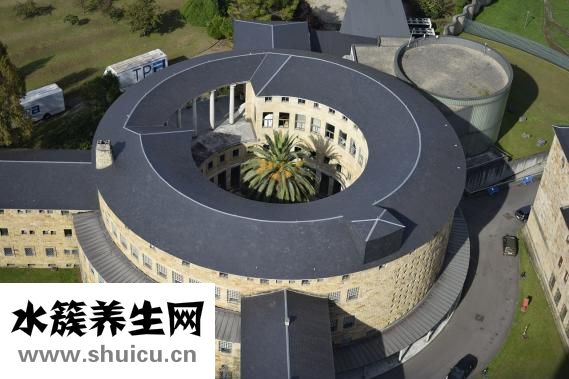 杰士邦自由派怎么樣