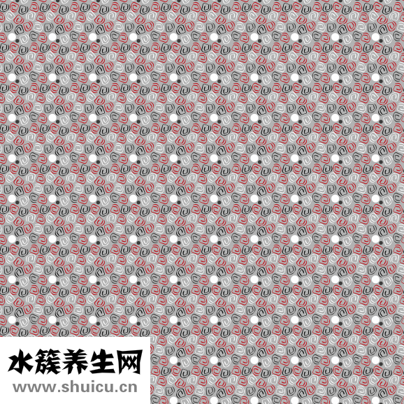 山茶花是什么顏色