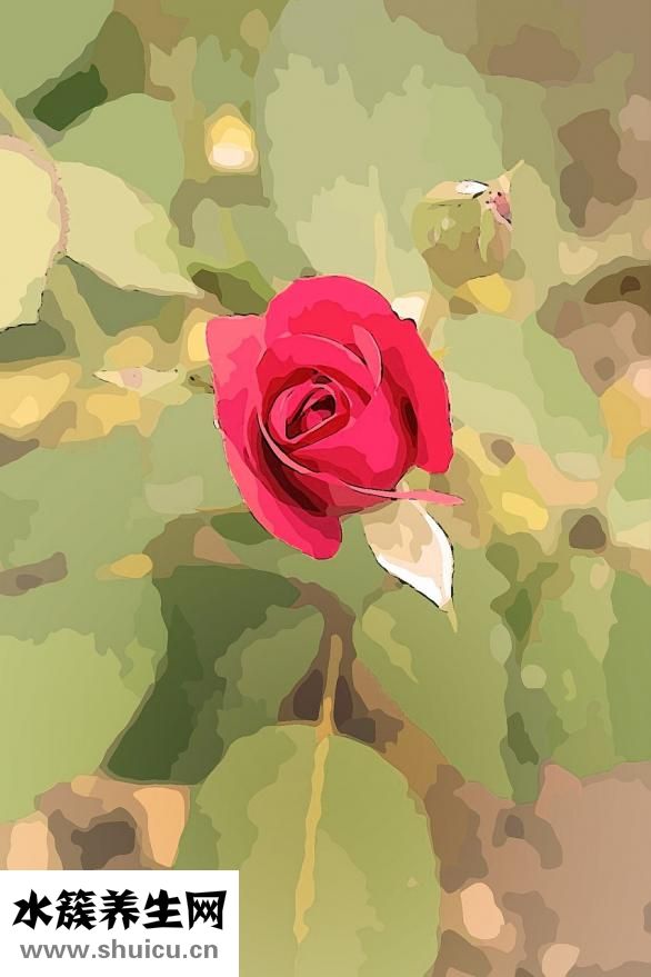 月經期間不宜吃什么