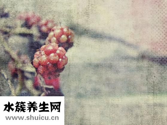 洋白菜怎么做好吃