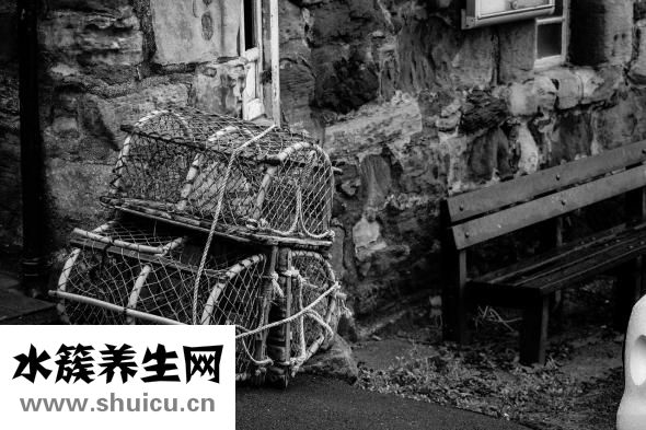 吃螃蟹過敏怎么辦