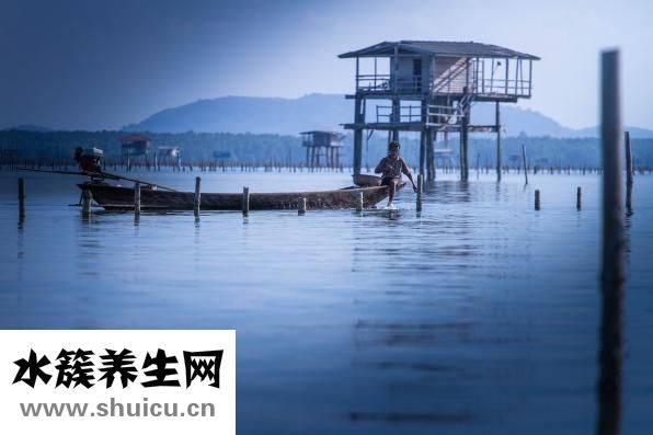 怎么樣導(dǎo)致毛囊壞死