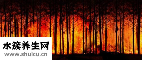 度登堡皮衣怎么樣