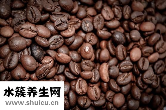 左旋咖啡怎么樣