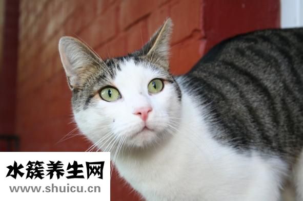 怎么樣使月經推遲