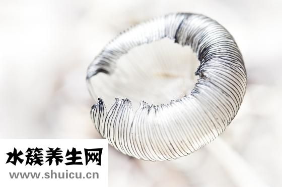 拓瑞檢測(cè)怎么樣