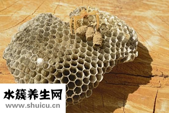 蜂巢皮秒激光怎么樣