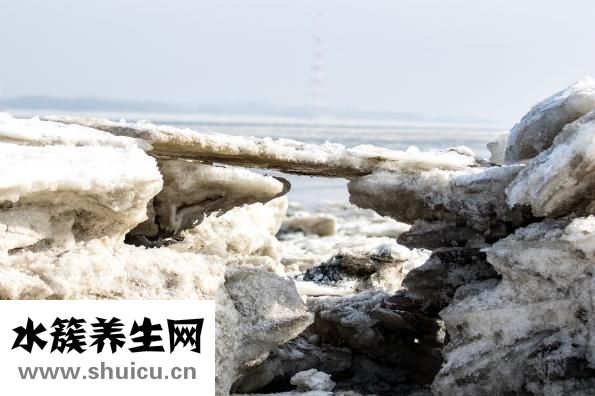 南極人護(hù)膝怎么樣