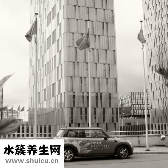 奧斯汀凈化器怎么樣