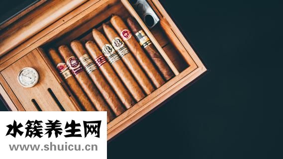 帕特加斯雪茄怎么樣