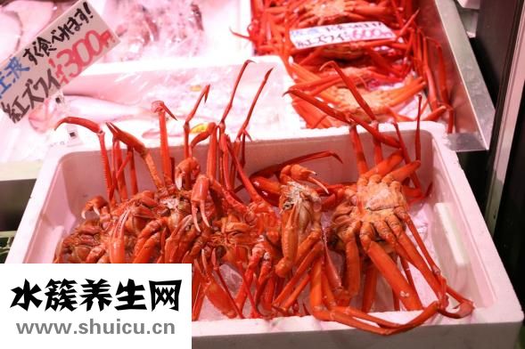 魷魚肉怎么樣做醬