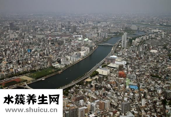 陳付國做鼻子怎么樣