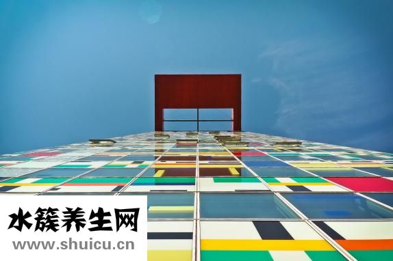 威猛先生怎么樣