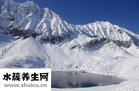 蓮花居大閘蟹怎么樣