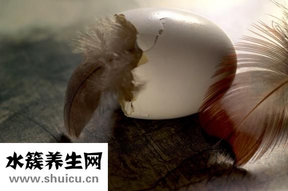 早餐吃什么營養(yǎng)