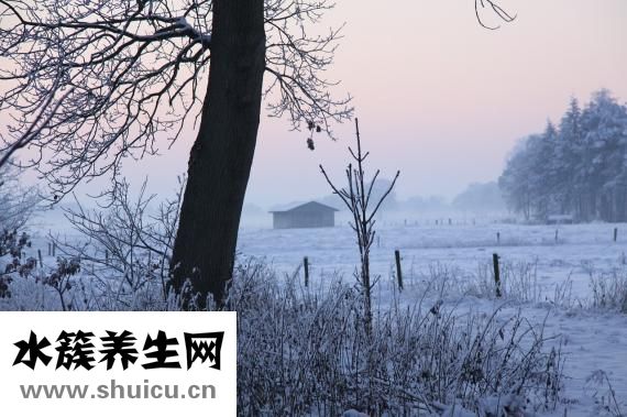 紅豆保暖內(nèi)衣怎么樣