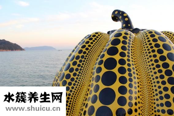 柔迪思祛斑王怎么樣