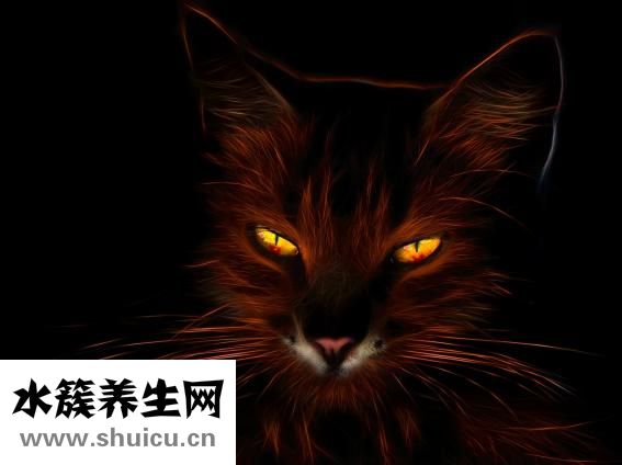 陳小劍雙眼皮怎么樣