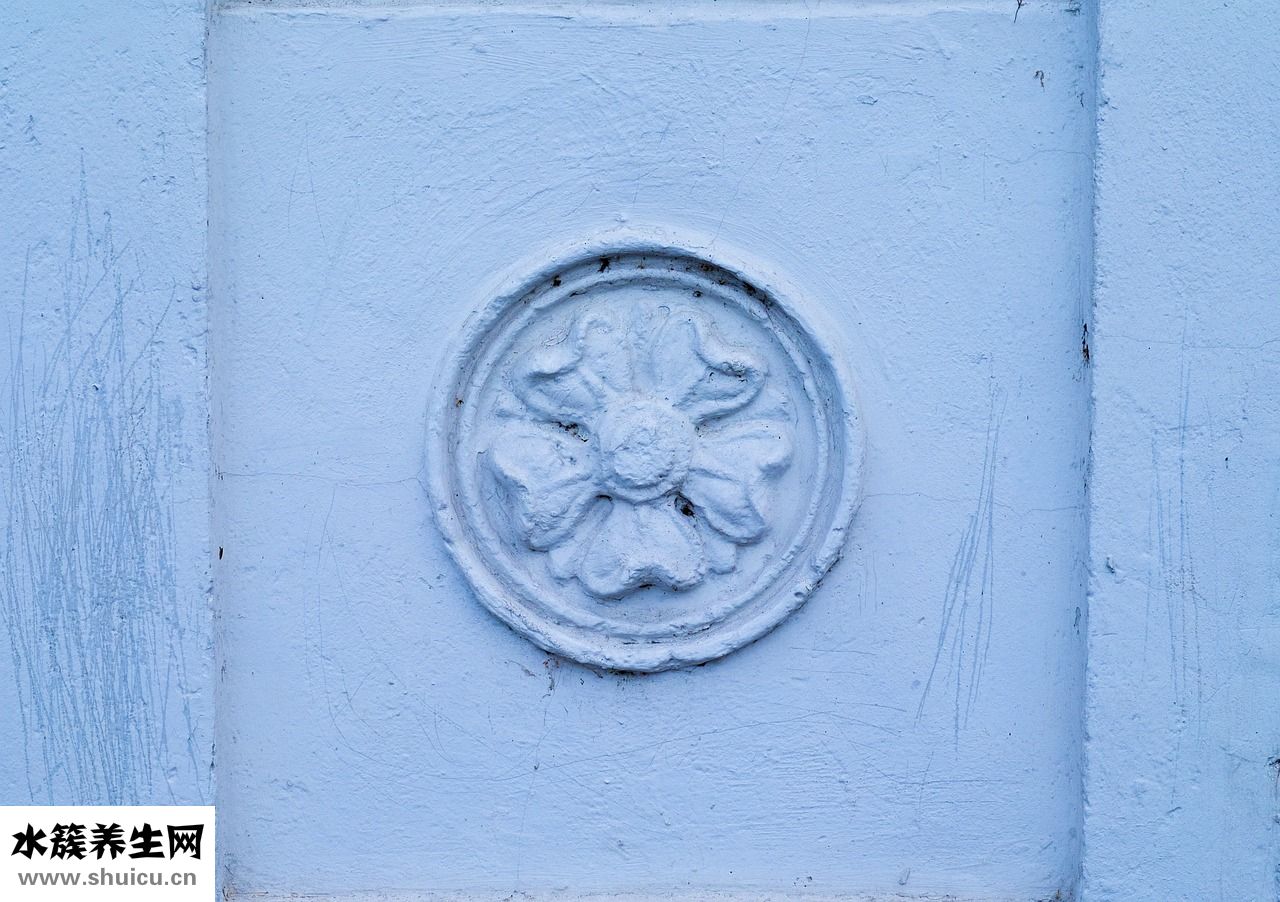 硅膠是什么材料