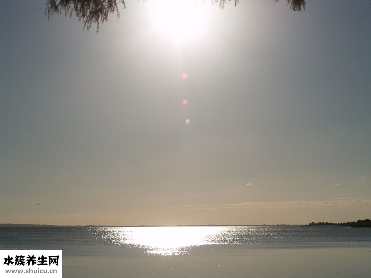 喜鉆戒指怎么樣