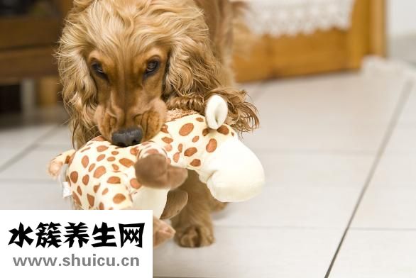 為什么會想一個人