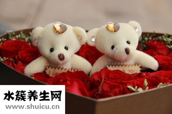 小熊煎藥壺怎么樣