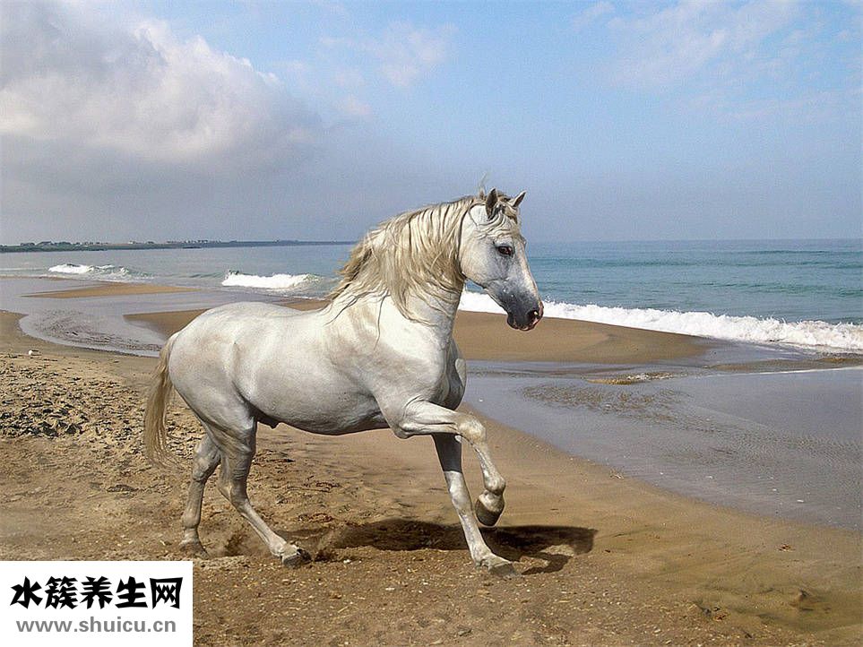 嵐派皮衣怎么樣