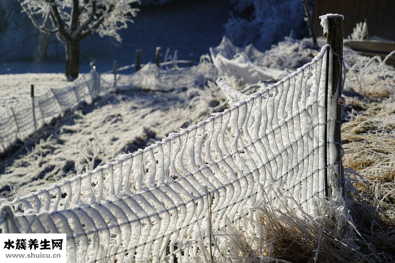 眼角長斑怎么辦